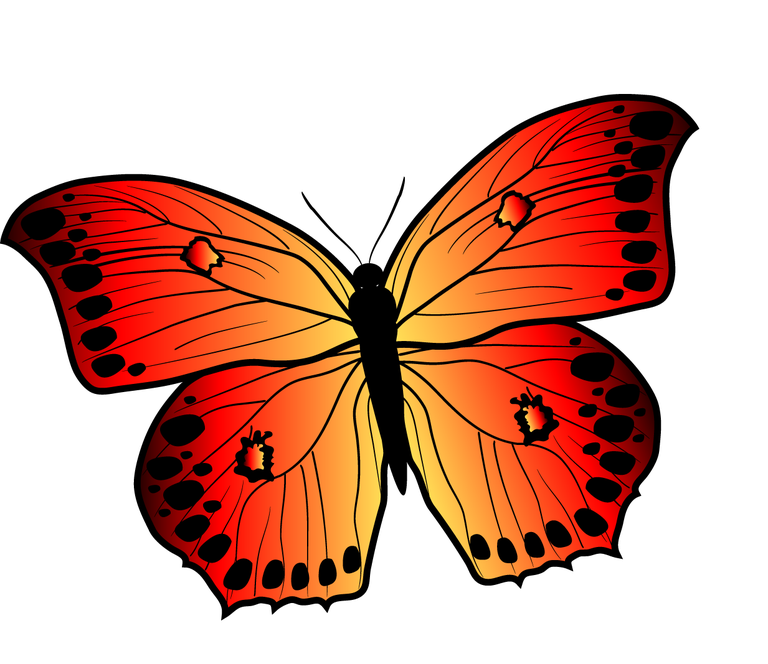 free beautiful butterfly butterfly clip art vector 648463