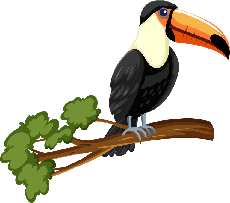 free big billed bird different wild anim Magipik Free Vector free big billed bird different wild anim Magipik Free Vector