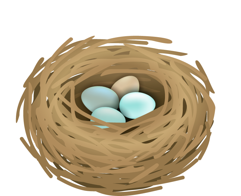 free bird nests and eggs birds nest set with vector 718343