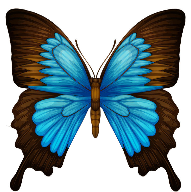 free-butterfly-different-types-of-insects-vector-7277