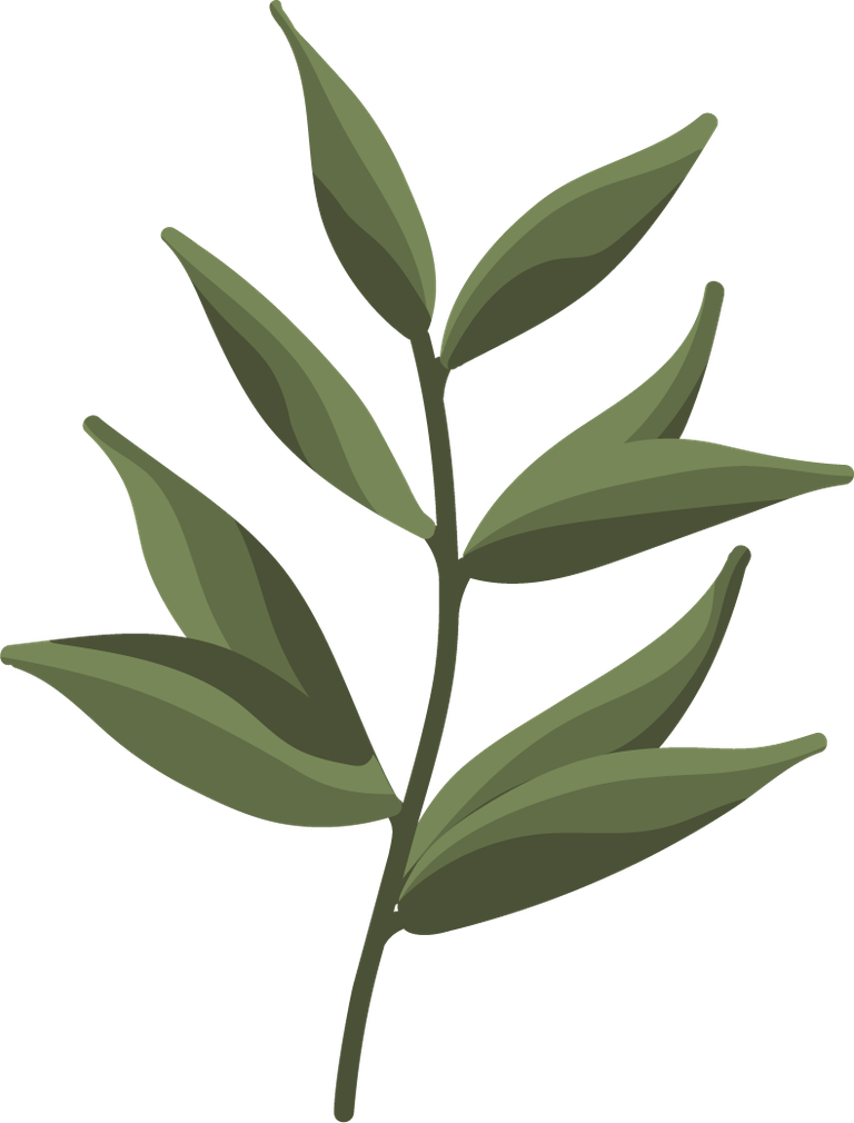 free collection greenery leaf plant forest vector 326881