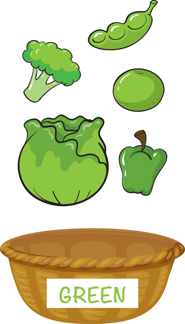 Free Different Colors Of Fruits And Vector 620298