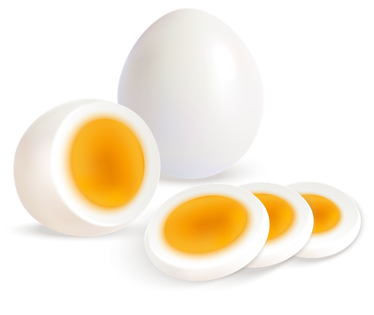 free egg hard boiled raw eggs realistic set vector 546450