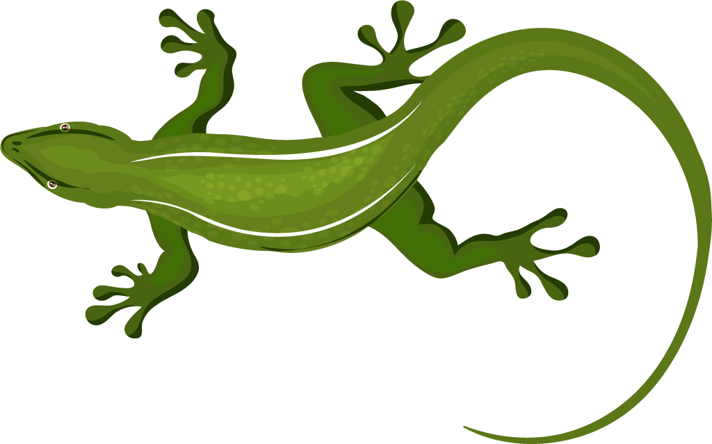 free geckos reptiles icons crocodile gecko vector 328367