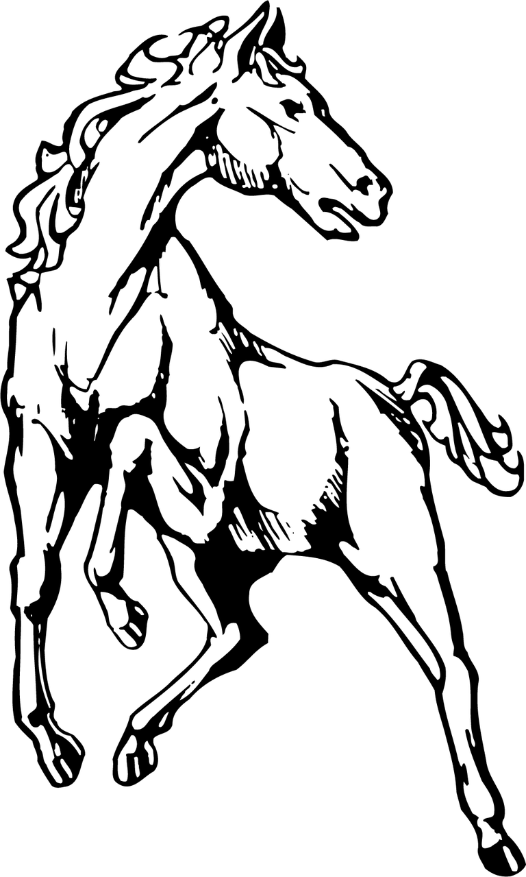 free horse black and white horse clip art vector 333391