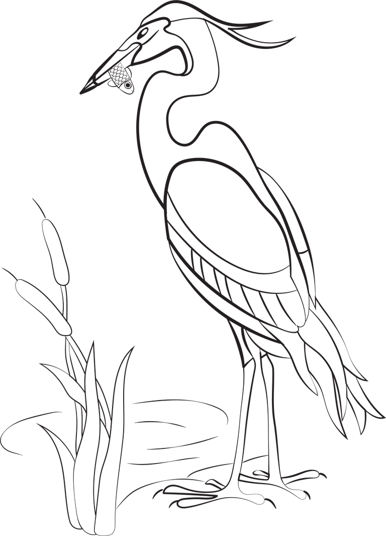 free pencil drawing bird birds species black vector 55677