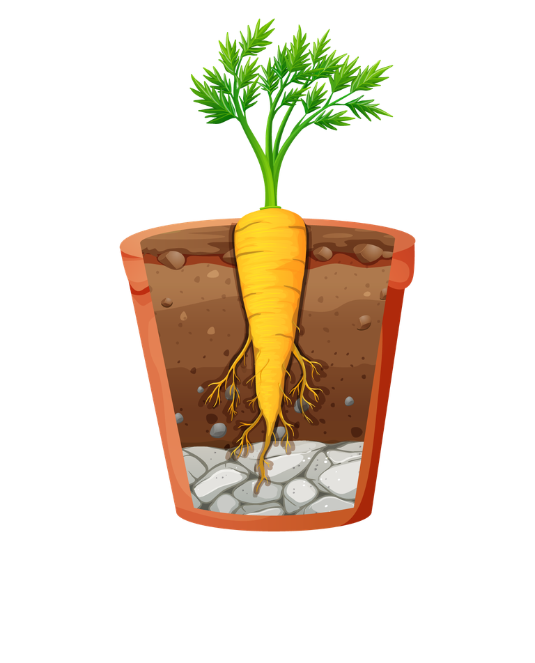 free pots set different plants pots isolated vector 934023