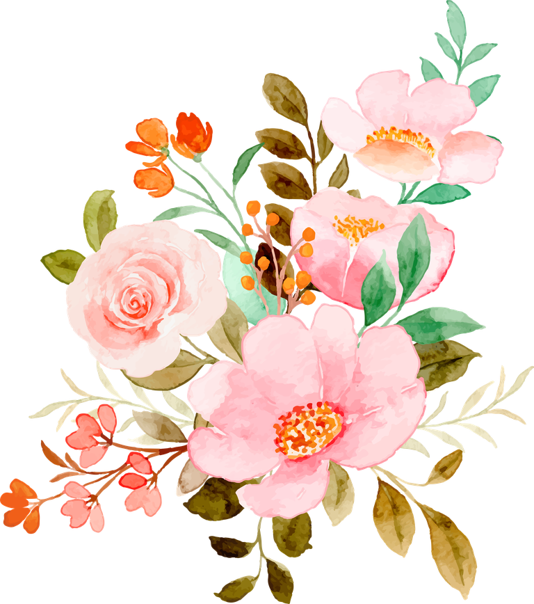 free rose watercolor pink flower bouquet vector 170969