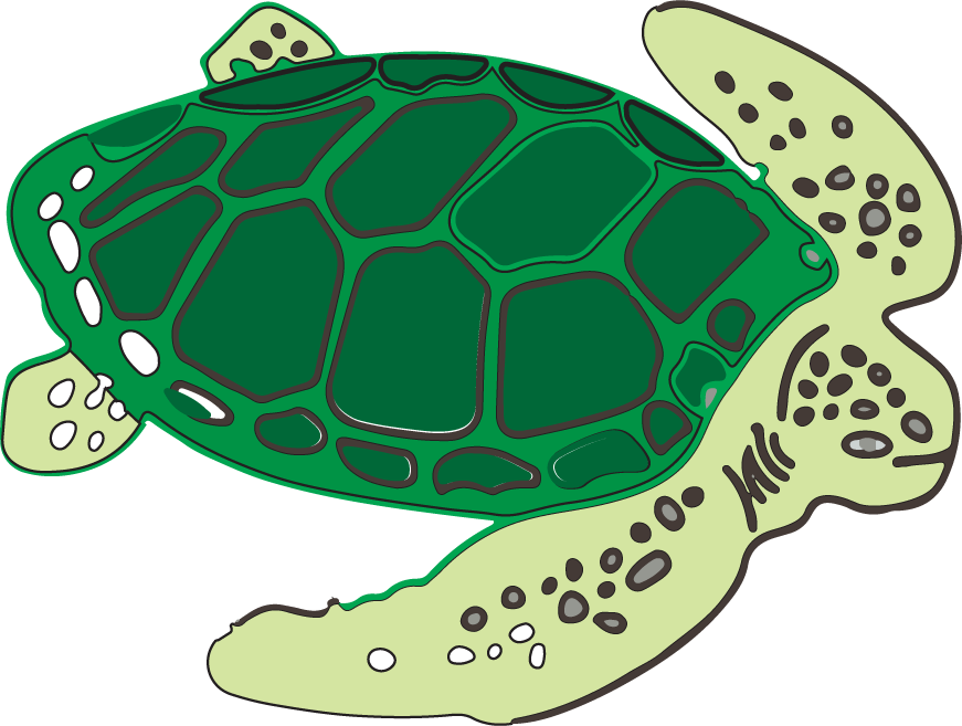 playful sea turtle cartoon dolphin illus... | Magipik Free Vector