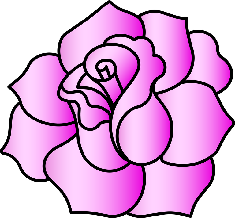 free The most beautiful rose drawn and drawn vector 479715