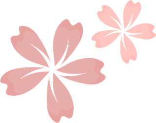 free japan sakura cherry branch with blooming vector 191828