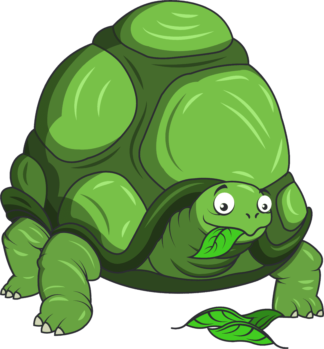 free turtle eat leaves animals avatars vector 495415