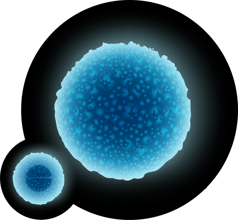 free petri dish with molds bacterial colonies vector 251046