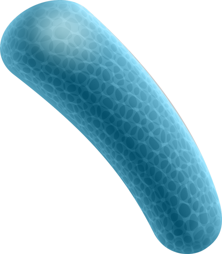 free petri dish with molds bacterial colonies vector 367437