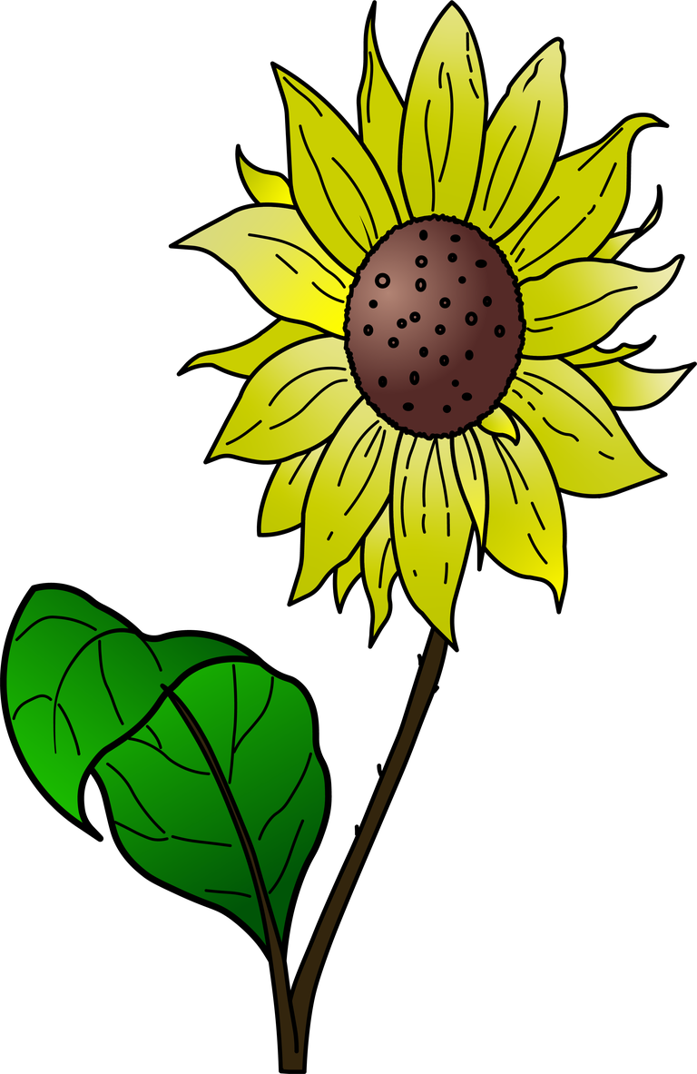 sunflower coloring pages for kids featuring bright and cheerful ...